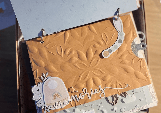 Valise de naissance avec album (photos non comprises)
