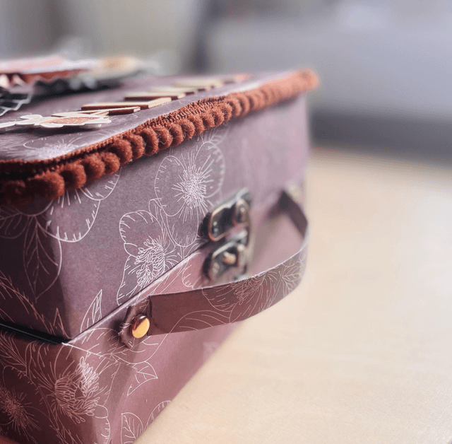 Valise de naissance avec album (20 photos comprises)
