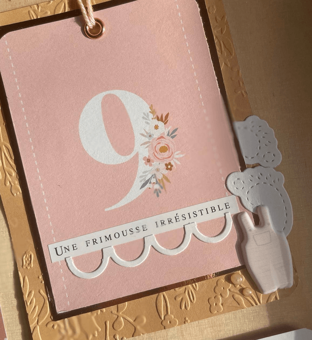 Cartes étapes 